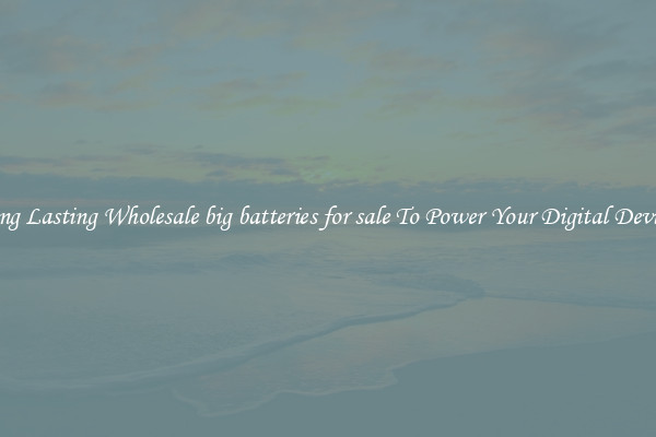 Long Lasting Wholesale big batteries for sale To Power Your Digital Devices