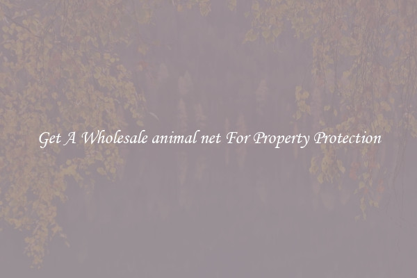 Get A Wholesale animal net For Property Protection