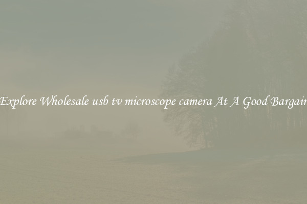 Explore Wholesale usb tv microscope camera At A Good Bargain