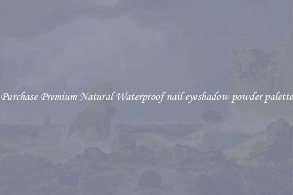 Purchase Premium Natural Waterproof nail eyeshadow powder palette