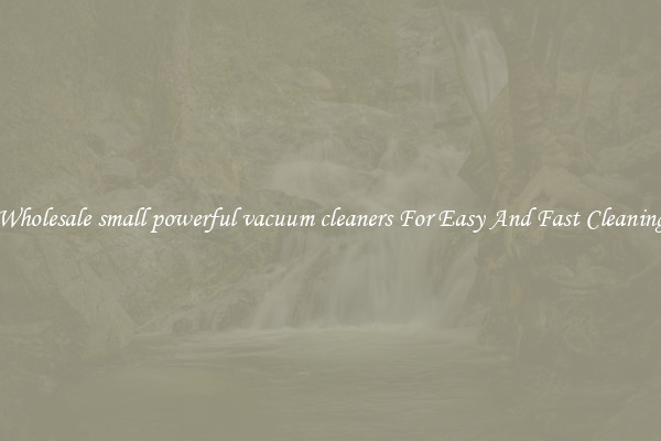 Wholesale small powerful vacuum cleaners For Easy And Fast Cleaning