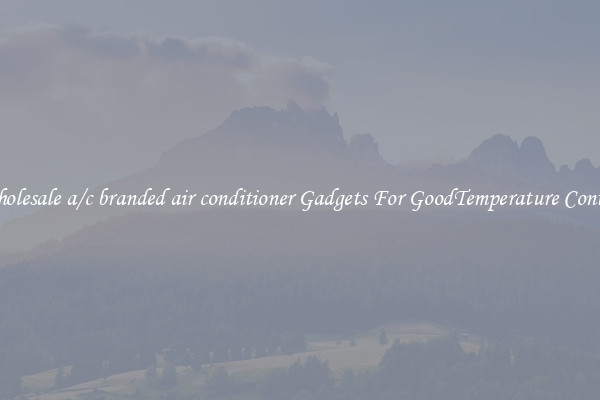 Wholesale a/c branded air conditioner Gadgets For GoodTemperature Control