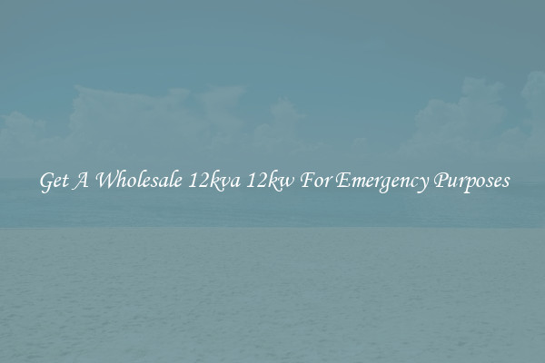 Get A Wholesale 12kva 12kw For Emergency Purposes