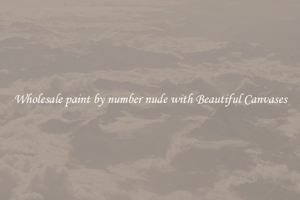 Wholesale paint by number nude with Beautiful Canvases
