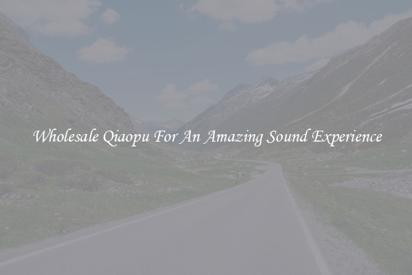 Wholesale Qiaopu For An Amazing Sound Experience