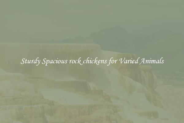 Sturdy Spacious rock chickens for Varied Animals
