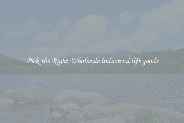 Pick the Right Wholesale industrial lift goods