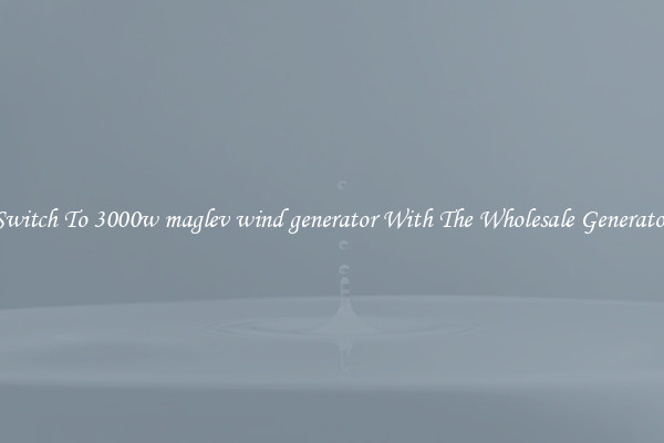 Switch To 3000w maglev wind generator With The Wholesale Generator