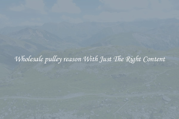 Wholesale pulley reason With Just The Right Content