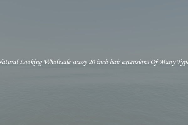 Natural Looking Wholesale wavy 20 inch hair extensions Of Many Types